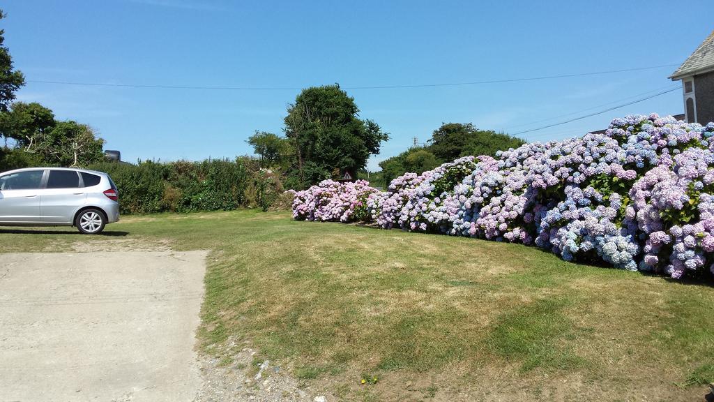 Trewithian Farm B&B Truro Extérieur photo